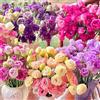 SZZLXYMT 300 pezzi Samen Eustoma, Eustoma Grandiflorum Samen, Mischung Eustoma Samen, Bunt Eustoma Samen, Geeignet Zum Pflanzen in Garten und Balkon