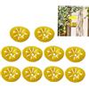 FOUTP Set 10 Trappole per Vespe Professionali Design a Imbuto Anti-Fuoriuscita Acchiappa Insetti Fai da Te Riutilizzabile Cattura Calabroni Esterno e Interno per Giardino e Terrazzo