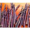 Generic ® 5 asparagi corona, asparagi, viola passione 2 anno di radici :Semi solo