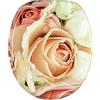 Sanilo Sedile WC, montaggio facile, copriwater con cerniere robuste Rosa Rosa