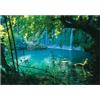 WallArena Carta Da Parati Fotografica Paesaggio Cascata Nature Foresta Bosco - Include Colla - Moderna Design Carta per Pareti Soggiorno Camera Da Letto Sala Fotomurali In Tessuto Non Tessuto TNT (416x254 cm)