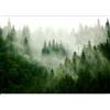 murando - Carta da parati Foresta Nebbia 350x256 cm Fotomurali in TNT Murale alla moda Decorazione da Muro XXL Poster Gigante Design Cameretta Carta per Pareti Natura Paesaggio scandinavo c-B-0533-a-b