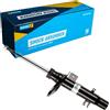BILSTEIN 22-225221 Ammortizzatore Anteriore Dx A pressione del gas Ammortizzatori