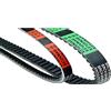 Artist Unknown Vicma Drive Belt For Honda Bali, SFX, SXR, SRX, Peugeot Zenith