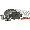 Malossi Variatore Malossi Multivar 2000 Piaggio Zip 4T 50cc, Liberty 4T 50cc, molla di contropressione, bianco, peso: 19 x 15,5 mm - 6,10 g