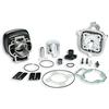 Malossi KIT GRUPPO TERMICO ZIP SP NRG MC2 H2O GILERA RUNNER MALOSSI IN GHISA D.47