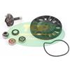 RAF Polska AA00817 KIT REVISIONE POMPA ACQUA COMPATIBILE CON PIAGGIO X9 200 4T 02 > 03