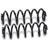 BESTPRICE ATP 2x molle sospensione posteriore destra e sinistra | Compatibile con: SKODA SUPERB II, VW EOS, GOLF V Variant, TOURAN, TOURAN, TOURAN VAN, TOURAN VAN