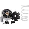 Malossi Variatore Multivar, per Minarelli, sdraiato/in piedi, 50 ccm 2T AC/LC 16 x 13 mm, 6 rulli, 7,0 g,
