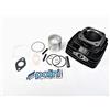POLINI KIT MOTORI MINARELLI V.1 ISSIMO