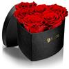 Aluisi Fiori - Cuore con 6 Rose Rosse Stabilizzate - Box Nera - Regalo emozionante per San Valentino, Compleanni e promesse d'Amore.