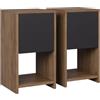 Vicco Comodino Evo, Rovere dorato/antracite, Set di 2, adatto per riporre libri, lampade e oggetti di uso quotidiano