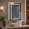 LKPOMI Specchio bagno contenitore con luce 50 x 70 cm Armadietto mobile bagno con specchio e mensola regolabile (bianco, 50 x 70 cm)