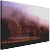 Feeby Stampa su Tela XXL Bosco Arte Moderno Natura Alberi Pappagallo Marrone 120x80 cm