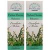 FEI FAN Essenze Aromatiche per Caloriferi e Umidificatori, Anche a Ultrasuoni, Disponibile in Varie Profumazioni, 100ml (2 unità, Eucalipto Menta)