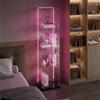 Zorvani Vetrinetta in Vetro,Vetrinetta Espositiva LED,Vetrina Soggiorno Moderna con 4 Ripiani in Vetro con 1Porta e Serratura,Vetrine per Collezionismo,Vetrina negozio (Nero+LED 2, 1Porta)