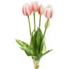 Edg - Enzo De Gasperi Tulipano Gomm. Olis Mazzo 5pz H. 40 Cm Rosa Chiaro