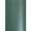 Netuno 100 Fogli cartoncino Perlato Verde Scuro A4 21 x 29,7 cm 280g Aster Metallic Green cartoncino perlescente colorato per lavoretti inviti Biglietti da Visita partecipazioni bomboniere