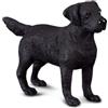 Collecta - Col88076 - Labrador Retriever - Taglia M