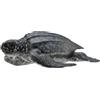 Collecta - Col88680 - tartaruga liuto - Taglia M