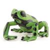 PAPO - Statuina Rana Equatoriale Verde Realistica - 3 Anni + - Collezione Vita Selvaggia - Gioco Educativo Anfibi Esotici - Idea Regalo Giocattolo Bambina Bambino