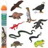 Safari Ltd. Toob River Ecosystem | Figure di Aqua dalla Testa Bianca, Castoro, Alligatore e Altri | Giocattoli educativi per Bambini | Non tossico e Privo di BPA | Adatto per Bambini da 3 Anni e Oltre | Safari