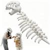 Generic Costume scheletro dinosauro peluche Silly Dino bambini e adulti Halloween cosplay