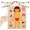Generico Anatomia per Bambini,Puzzle Educativo Corpo Umano in Legno - Giocattolo Educativo Precoce Per Studenti Scuola Gioco Viaggio Bambini Ragazzi Ragazze Gioventù