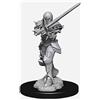 Dungeons & Dragons WizKids WZK73705 Accessories