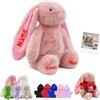JABECODIFA Peluche Coniglietto Personalizzato Con Foto E Testo, Animale Di Peluche Su Misura Come Primi Regali Di Pasqua Personalizzati Per Neonati Bambini E Adulti A Pasqua E Natale, 25cm