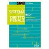 Dike Giuridica Il sistema del diritto penale (2024) (Vol. 4)