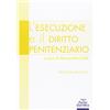 Pacini Editore L'esecuzione e il diritto penitenziario