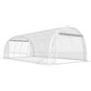 Serra A Tunnel 3x6x2 M Con Porte Avvolgibili, Telaio In Acciaio E Copertura In Pe AntI-Uv, Trasparente