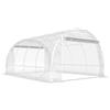 Serra A Tunnel 3x4x2 M Con Porte Avvolgibili, Telaio In Acciaio E Copertura In Pe AntI-Uv, Trasparente
