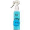 TECHNIQUE JETTING UP SPRAY CAPELLI EFFETTO SPIAGGIA SEA SALT FINAL CARE 150ML