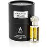 BUSINESS SQUARE BS AYAT PERFUMES - Estratto di profumo 12ml|Bella bottiglia in una scatola elegante|Attar unisex senza alcool|Olio a lunga durata|Fragranza araba progettata a Dubai (Oriental Magic)