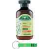 Beni Culinari 24x Antica Erboristeria Shampoo Seboregolatore all'Ortica per Capelli Grassi Formula Vegan Senza Siliconi e Coloranti,Flaconi da 250ml + Portachiavi Beni Culinari in Omaggio