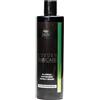 JaDy - Shampoo Capelli Grassi Professionale | Seboregolatore Purificante con Menta e Proteine del Grano | Pulizia Profonda e Delicata | Capelli Morbidi e Lucenti | 400 ml