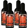 FEI FAN Deodorante Japanese Rituals Fragranza Sensuale ed Indimenticabile, Formato da 100 ml (4 Flaconi)