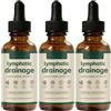 CCDSR Lymphoria Linfodrenaggio gocce 59ml - Linforia Wellness Drops, promuove un drenaggio efficiente del sistema linfatico, miscele di erbe naturali, pulisce il corpo, facile da applicare, vegano e senza
