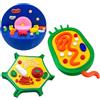 Songelt Modello anatomico di cellule animali e vegetali Biologia Aiuto didattico per dimostrazione didattica in classe Modello cellulare animale ingrandito