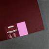 Ilford Multigrade FB Warmtone Gloss, 20,3 x 25,4 cm, 25 fogli