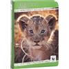 PRESTIGE & DELUXE Agenda compatibile con scuola diario WWF leone 2025-2026 datato verde F.to Standard 18x14 cm + omaggio portachiave Fischietto e Penna multicolore