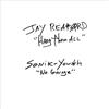 Matador Jay Reatard / Sonic Youth - Hang Them All / No