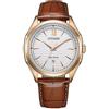 Citizen Analogico AW1753-10A, Marrone, Banda
