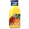 natura sana Santal Big 100% Ananas Succo di Frutta 24 pezzi