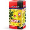 Rosamonte Special Selection Yerba Mate - Suave - 1,0 kg - 1 kg