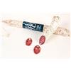 Arcibold Salame Fabriano 550 gr. salame marchigiano italiano, Corte Marchigiana