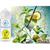 Sasami Concentrato di aromi Hugo - Vegano - Sasami - 10ml