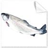 DIYthinker Ocean Fresh Fish attività Piccole Occhiali Panno di Pulizia del Panno dello Schermo del Telefono 5pcs Cleaner